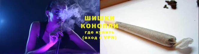 ПСИЛОЦИБИНОВЫЕ ГРИБЫ Белоозёрский